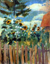 Sunflowers,  Garden by the House