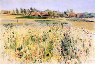 Poppies, 1911